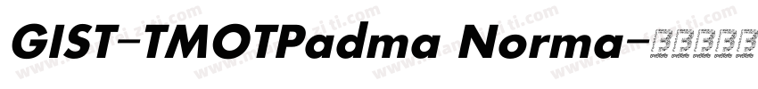 GIST-TMOTPadma Norma字体转换